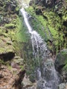 small waterfall in the middle of the forest and between green moss rocks Royalty Free Stock Photo