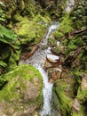 small waterfall in the middle of the forest and between green moss rocks Royalty Free Stock Photo