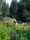 A small waterfall in the middle of a forest in the mountains.