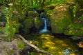 Small waterfall in middle of a forest. Pure nature Royalty Free Stock Photo