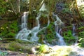 A small waterfall in the middle of a green dense forest Royalty Free Stock Photo