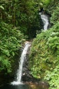 Small waterfall in monteverde cloud forest reserve