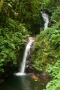 Small waterfall in monteverde cloud forest reserve