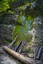A small waterfall with moss-covered rock in the Slovak Paradise National Park Royalty Free Stock Photo