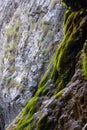 Small waterfall on mossy rock Royalty Free Stock Photo