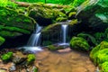 Small waterfall with mossy rocks in Shenandoah National Park. Virginia, USA