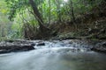 A small waterfall and mossy rocks in a wood Royalty Free Stock Photo