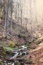 A small waterfall. Mountain river in the Carpathians. Royalty Free Stock Photo