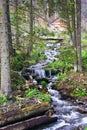 A small waterfall. Mountain river in the Carpathians. Royalty Free Stock Photo