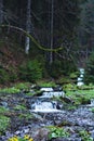 A small waterfall. Mountain river in the Carpathians. Royalty Free Stock Photo