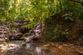 Small waterfall. Mountain stream in green forest at spring time.Palenque, Chiapas, Mexico. Royalty Free Stock Photo