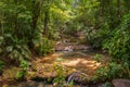 Small waterfall. Mountain stream in green forest at spring time.Palenque, Chiapas, Mexico. Royalty Free Stock Photo