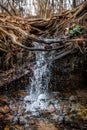 A small waterfall in a natural creek area , running rapid with spring snow melt Royalty Free Stock Photo