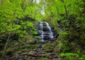 Oirase Gorge in Aomori, Tohoku, Japan