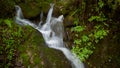 Small waterfall over moss covered rocks Royalty Free Stock Photo