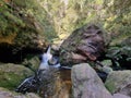 Small waterfall over rocks on Greaves Creek on the Grand Canyon Walking Track Royalty Free Stock Photo