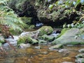 Small waterfall over rocks on Greaves Creek on the Grand Canyon Walking Track Royalty Free Stock Photo