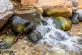 Small waterfall in the path of the shallow stream in the gorge Wadi Al Ghuwayr or An Nakhil and the wadi Al Dathneh near Amman in