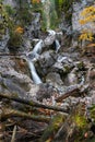 Small waterfall on the Pollat river in the Bavarian Alps