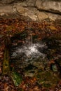 Small Waterfall Pool Covered In Fallen Leaves