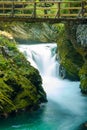 Small waterfall on Radovna creek in Vintgar gorge