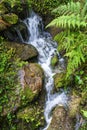 Small waterfall at Rainbow Springs State Park - Dunnellon, Florida, USA Royalty Free Stock Photo