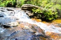 Small waterfall in the rainforest at Wentworth Falls, New South Wales, Australia. Royalty Free Stock Photo