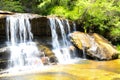 Small waterfall in the rainforest at Wentworth Falls, New South Wales, Australia. Royalty Free Stock Photo