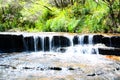 Small waterfall in the rainforest at Wentworth Falls, New South Wales, Australia. Royalty Free Stock Photo