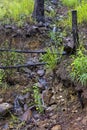 Small waterfall and rocks Royalty Free Stock Photo