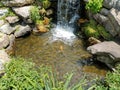 Small waterfall and rocks and large fish Royalty Free Stock Photo