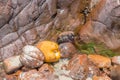 Small waterfall among rocks and stones in moss