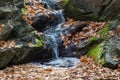 Small waterfall. Rocks and water stream covered with fallen leaves. Autumn landscape Royalty Free Stock Photo