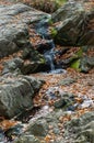 Small waterfall. Rocks and water stream covered with fallen oak leaves