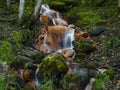 A small waterfall, running water in orange tones. rocks, rocky trees, twigs and moss.