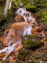 A small waterfall, running water in orange tones. rocks, rocky trees, twigs and moss.