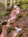 a small waterfall, running water in orange tones. rocks, rocky trees, twigs and moss.