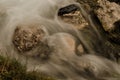 Small waterfall with running water, silk effect, natural waterfall landscape