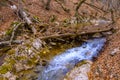 small waterfall on rushing mountain river Royalty Free Stock Photo