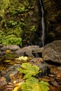 Small waterfall in Serra da Estrela Natural Park with autumn leaves in the foreground