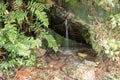 Small waterfall with silk effect into andean rainforest