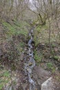 Small waterfall and slope with spring plants and trees Royalty Free Stock Photo