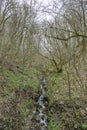 Small waterfall and slope with spring plants and trees Royalty Free Stock Photo