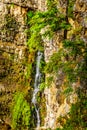 Small waterfall in the Spahats Canyon in Wells Gray Provincial Park,British Columbia, Canada Royalty Free Stock Photo