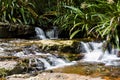 Small Waterfall In Springbrook National park Royalty Free Stock Photo