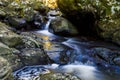 Small Waterfall In Springbrook National park Royalty Free Stock Photo