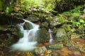 Small waterfall and stone in the deep forest. Beautiful view of waterfall landscape. Zakarpattya, Ukraine Royalty Free Stock Photo