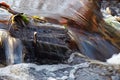 Small waterfall on a stream flowing through swamps