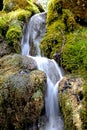 A small waterfall of a stream between mossy rocks. Royalty Free Stock Photo