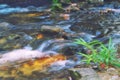 Small waterfall ,stream running water over the rock Royalty Free Stock Photo